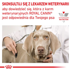 Sucha karma dla dorosłych psów Royal Canin Satiety Weight Management Canine 12 kg (3182550731386) - obraz 8