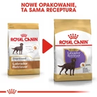 Сухий корм для дорослих собак Royal Canin Labrador Retriever Sterilised 12 кг (3182550787581) (3996120) - зображення 6