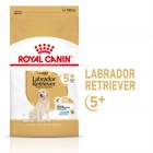 Сухий корм для дорослих собак Royal Canin Labrador Retriever 5+ 12 кг (3182550908412) (1339120) - зображення 2