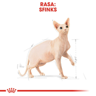 Sucha karma dla dorosłych kotów Royal Canin Sphynx Adult 10 kg (3182550758857) (2556100) - obraz 3