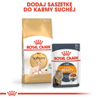 Sucha karma dla dorosłych kotów Royal Canin Sphynx Adult 10 kg (3182550758857) (2556100) - obraz 8
