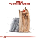 Mokra karma dla psów Royal Canin Yorkshire Terrier 12 x 85g (9003579001431) - obraz 4