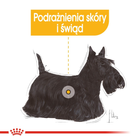 Sucha karma dla psów Royal Canin Mini Dermacomfort z podrażnioną i swędzącą skórą 3 kg (3182550893916) (2441030) - obraz 3