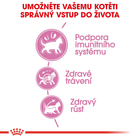 Sucha karma dla kociąt Royal Canin Kitten 4 kg (3182550702447) (2522040) - obraz 4