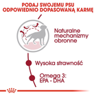 Сухий корм для дорослих собак середніх порід Royal Canin Medium Adult старше 12 місяців 4 кг (3182550708197) (99085) (3004040) - зображення 4