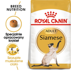 Сухой корм для дорослих кішок Royal Canin Siamese Adult 400 г (3182550710671) (2551004) - зображення 2