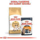 Сухой корм для дорослих кішок Royal Canin Siamese Adult 400 г (3182550710671) (2551004) - зображення 7