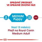 Sucha karma dla szczeniąt Royal Canin Puppy M 4kg (3182550708180) (98543) (30030401) - obraz 5