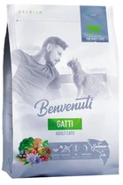 Сухой корм для кошек Benvenuti Gatti лосось
