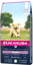 Sucha karma dla psów EUKANUBA Puppy z jagnięciną i ryżem 12 kg (8710255120645) - obraz 1