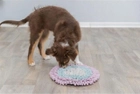 Килимок Trixie Junior Sniffing Carpet 38 см (4011905320397) - зображення 7