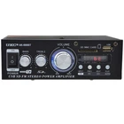 Усилитель звука UKC AK-699BT Bluetooth+FM+SD+USB Караоке 2-канальный 2x300W (4_00587)