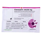 Клавасептін Vetquinol 250 мг, 10 таб