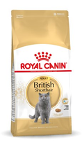 Sucha karma dla kotów ROYAL CANIN British Shorthair 4kg (3182550756440)