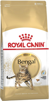 Sucha karma dla dorosłych kotów Royal Canin Bengal Adult 10 kg (3182550865111) (4370100) - obraz 1
