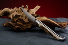 Ніж кишеньковий Fontenille Pataud, Laguiole Traditional, ручка з рогу оленя (L12BC) - зображення 6