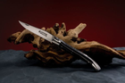 Нож карманный Fontenille Pataud, Laguiole Essential, ручка из рога буйвола (L12FPPCN) - изображение 1