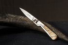 Ніж кишеньковий Claude Dozorme, Corsica Liner Lock, ручка з роги барана (1.92.142.37) - зображення 2