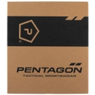 Тактичні демісезонні берці, ботинки Pentagon Achilles Tactical XTR 6" Desert - Tan Розмір 44 - зображення 10