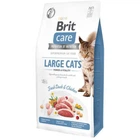 Сухой корм Brit Care Large Power Vitality