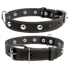 Нашийник COLLAR одинарний з прикрасами ширина 20мм довжина 32-40см чорний