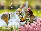 Алмазная мозаика Котенок на лужайке DM-195 40x30см