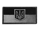 Шеврон Флаг України з тризубом на липучці Safety 7х5 см Чорно-сірий (польова версія) - зображення 1