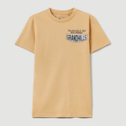 T-shirt młodzieżowy chłopięcy OVS 1780768 158 cm Brązowy (8057274746044) - obraz 1