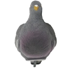 Підсадний голуб SOLOGNAC 900 3D з оксамитовою обробкою - изображение 2
