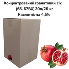 Концентрований гранатовий сік Eva 65-67 ВХ BAG IN BOX 20л/26 кг