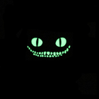 Шеврон на липучке Laser Cut UMT Чеширский кот 80х50 мм Люминисцентный Олива - изображение 3