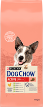Karma sucha dla psów Purina Dog Chow Active 14 kg (DLZBEZKSP0010) - obraz 1