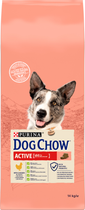 Сухий корм для собак Purina Dog Chow Active 14 kg (DLZBEZKSP0010) - зображення 1