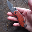 Нож складной Buck A136 - изображение 2