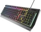 Клавіатура дротова Natec Genesis Rhod 300 RGB Gaming USB Black/Silver (NKG-1528) - зображення 3