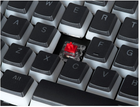 Клавіатура дротова Endorfy Omnis Pud Kailh Red USB Black (EY5A033) - зображення 7