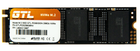 SSD-диск GTL Poseidon 256Gb (GTLPOS256GBNV)
