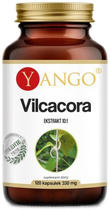 Yango Vilcacora 120 kapsułek 330mg Koci Pazur (5907483417088)