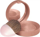 Рум'яна із дзеркальцем Bourjois Pastel Joues 85 - Sienne (2.5 г) (223842-925280-2)