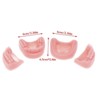 Набор моделей челюстей обучающий силиконовый 4шт (1012-729-00) - изображение 8