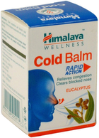 Balsam Himalaya Cold Balm Łagodzi Katar I Bóle Głowy 10 g (8901138505219) - obraz 1