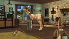 Гра PC The Sims 4 Кінне ранчо (EP14) (5030930125172) - зображення 3