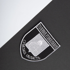 Шеврон на липучці Головне управління Сумська область 8х9,5 см срібло - зображення 4
