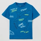 Футболка дитяча OVS T-Shirt S/S Caribbean Se 1799676 116 см Blue (8056781060742) - зображення 1