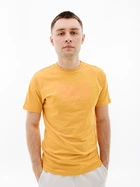 Мужская Футболка HELLY HANSEN HH LOGO T-SHIRT Оранжевый L (7d33979-364 L)