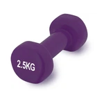 Гантель вінілова PowerPlay 4125 Achilles Вага: 2.5 кг. Фіолетова (1шт.)