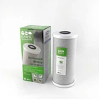 Картридж Raifil CBC-10-BP-10