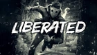 Игра Liberated для ПК (Ключ активации Steam)