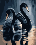 Картины по номерам Черные лебеди (PN0745) Artissimo 40*50 см