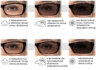 Очки защитные фотохромные Pyramex Ever-Lite Photochromic (clear), прозрачные фотохромные - изображение 8
